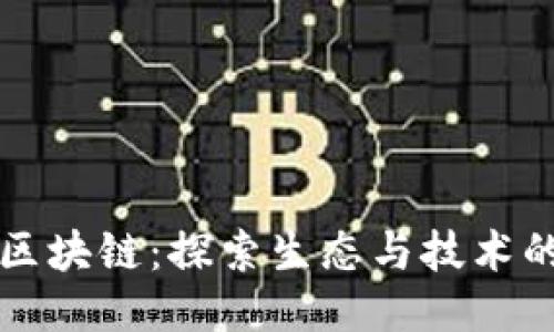 海豚区块链：探索生态与技术的未来