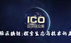 海豚区块链：探索生态与