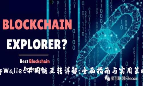 tpWallet不同链互转详解：全面指南与实用策略