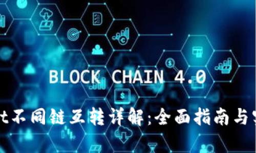 tpWallet不同链互转详解：全面指南与实用策略