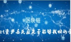 tpWallet资产丢失后是否能够找回的全面分析