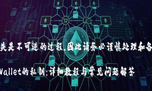 注意：私钥丢失是不可逆的过程，因此请务必谨慎处理和备份您的私钥。

如何找回tpWallet的私钥：详细教程与常见问题解答