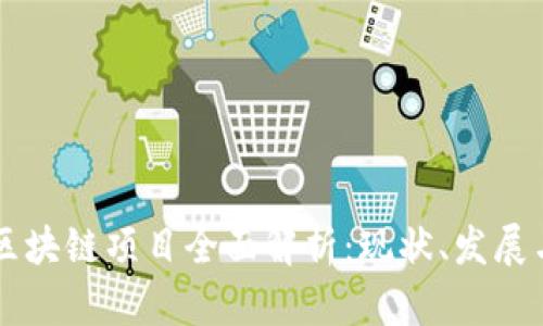 中国区块链项目全面解析：现状、发展与未来