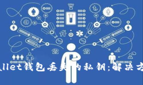 如何找回tpWallet钱包丢失的私钥：解决方案与预防措施