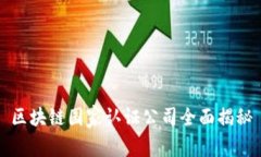 区块链国家认证公司全面揭秘